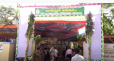 நெல்லையில் மட்டுமே நடைபெறும் மாம்பழச் சங்க பண்டிகை 