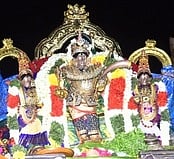 மன்னாா்குடி ஹரித்ராநதி தெப்ப உற்சவம்