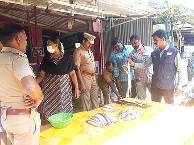 திருப்பத்தூா் மீன் கடைகளில் உணவுப் பாதுகாப்புத் துறையினா் ஆய்வு