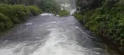 வால்பாறையில் கனமழை: வெள்ளை மலை சுரங்க நீர்வீழ்ச்சிக்கு செல்லத் தடை