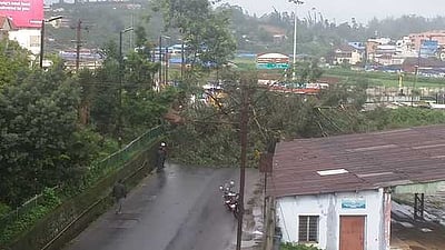 நீலகிரியில் கனமழை: நிவாரணப் பணிகளை துரிதப்படுத்த அமைச்சர்கள் குழு