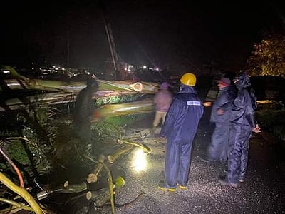 நீலகிரியில் கனமழை:  போக்குவரத்து-மின் இணைப்பு  பாதிப்பு