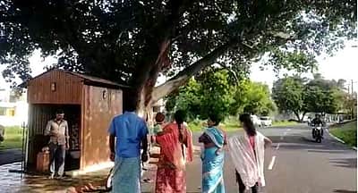 பொள்ளாச்சி அருகே அம்மன் கோயில் முன்புள்ள ஆலமரத்தில் பால் வடிந்த அதிசயம்!