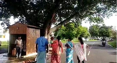 பொள்ளாச்சி அருகே அம்மன் கோயில் முன்புள்ள ஆலமரத்தில் பால் வடிந்த அதிசயம்!