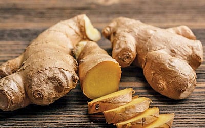 மூலிகை மருத்துவம்