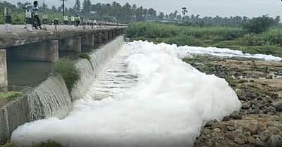 பாலாற்றில் தோல் தொழிற்சாலை கழிவுகளை கலப்பதாக புகார்