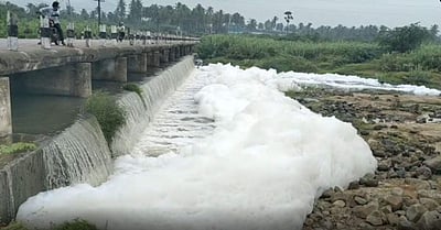 பாலாற்றில் தோல் தொழிற்சாலை கழிவுகளை கலப்பதாக புகார்