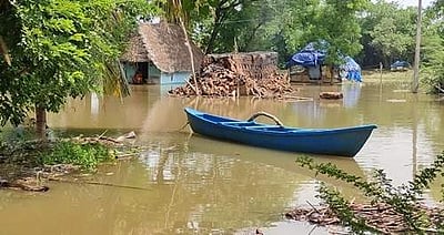 கொள்ளிடம் ஆற்றில் வெள்ளப்பெருக்கு: 300 ஏக்கர் தோட்டப் பயிர்கள் சேதம்