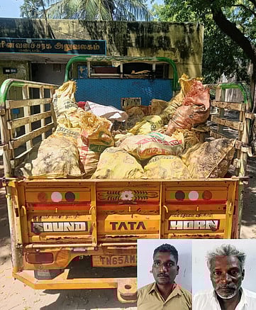 பாம்பனில் கடல் அட்டைகள் பறிமுதல்