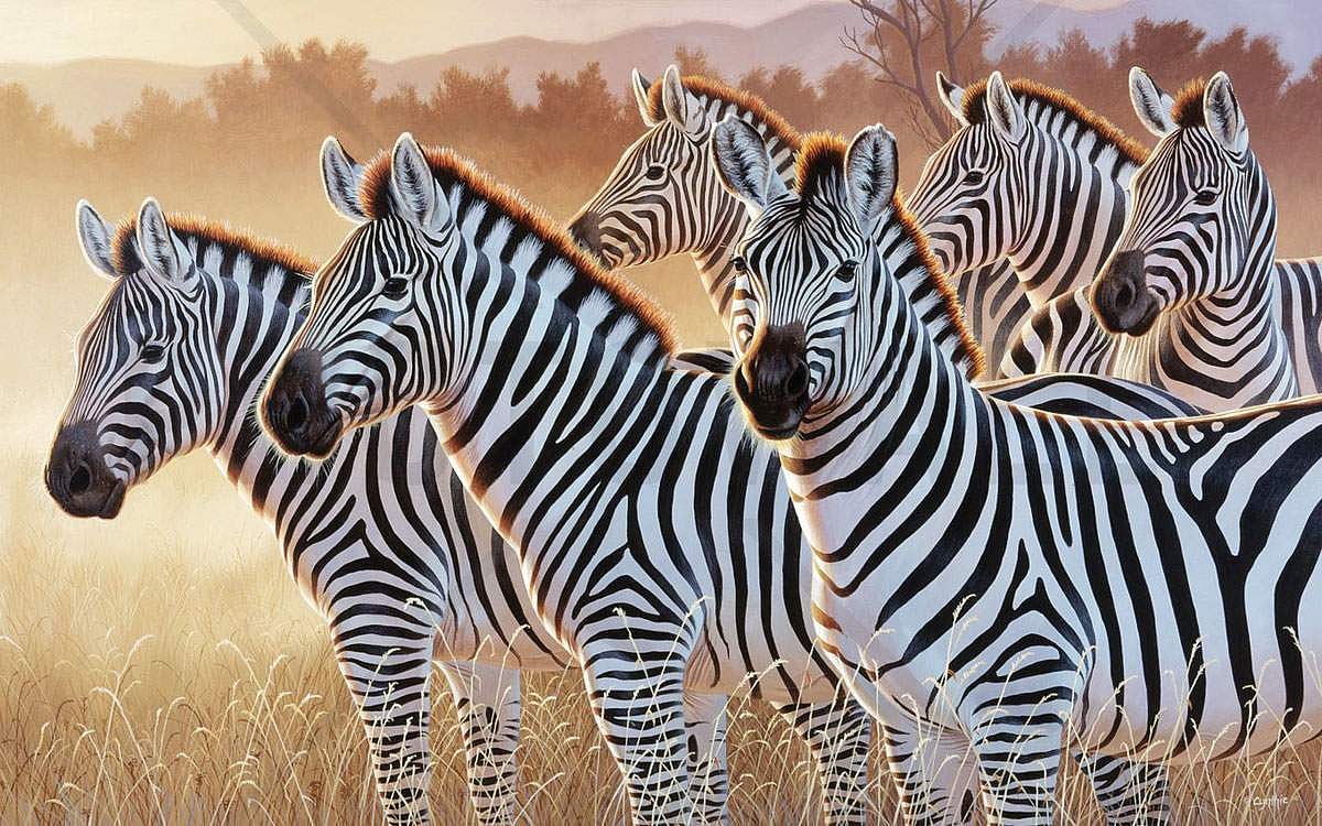 அங்கிள் ஆன்டெனா