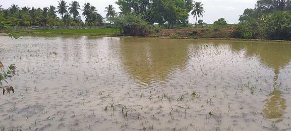 வறட்சியை சந்தித்துவந்த தெற்கு ஈரானில் திடீர் வெள்ளம்: 17 பேர் பலி
