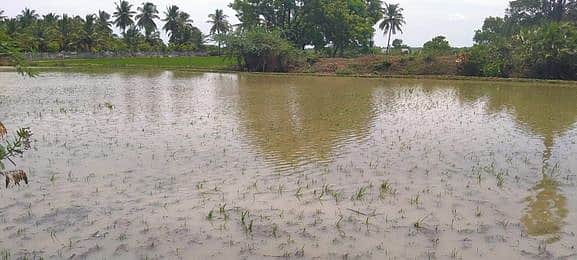 வறட்சியை சந்தித்துவந்த தெற்கு ஈரானில் திடீர் வெள்ளம்: 17 பேர் பலி