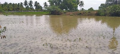 வறட்சியை சந்தித்துவந்த தெற்கு ஈரானில் திடீர் வெள்ளம்: 17 பேர் பலி