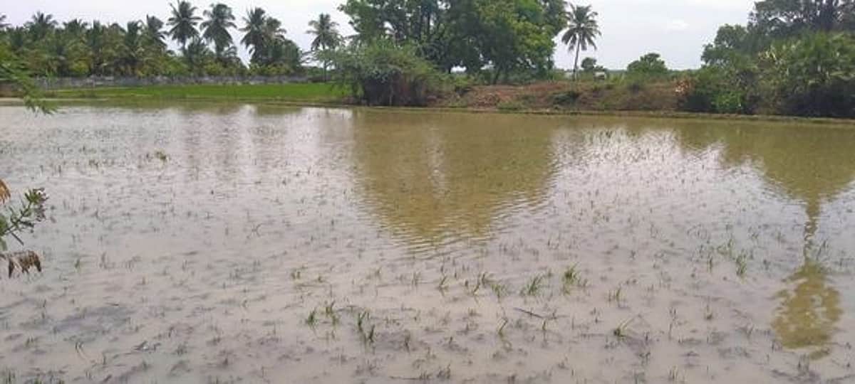 வறட்சியை சந்தித்துவந்த தெற்கு ஈரானில் திடீர் வெள்ளம்: 17 பேர் பலி