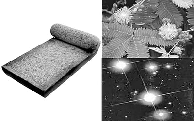 கற்பனை வள தமிழ்ச் சொற்கள்!