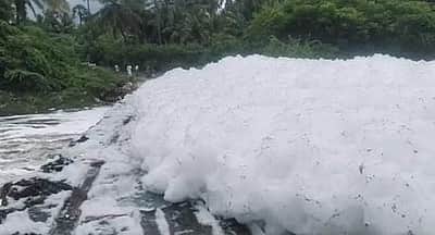 சாயப்பட்டறை கழிவுகளால் நுரைகளால் மூழகிய தரைப்பாலம்