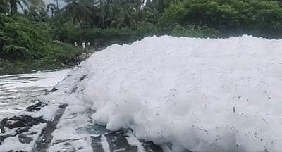 சாயப்பட்டறை கழிவுகளால் நுரைகளால் மூழகிய தரைப்பாலம்