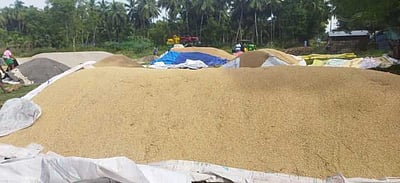 பெரியகுளம் பகுதியில் மழையில் நனைந்து வீணாகும் நெல்: கொள்முதல் மையம் அமைக்க விவசாயிகள் கோரிக்கை