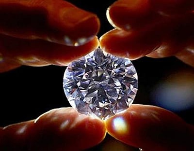 சுள்ளி பொறுக்கச் சென்ற பழங்குடியினப் பெண் லட்சாதிபதி  ஆன கதை