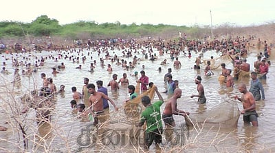 மணப்பாறை அருகே செவலூரில் மீன் பிடித்திருவிழா