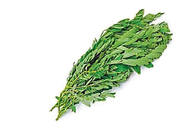 அகத்திக் கீரையின் மகத்துவம்