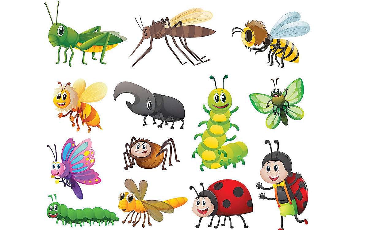 அங்கிள் ஆன்டெனா: செழிப்பான பசுமைமிக்க பகுதிகளில் பூச்சிகள் அதிகம் ஏன் காணப்படுகின்றன?