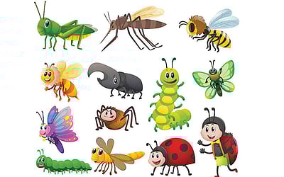 அங்கிள் ஆன்டெனா: செழிப்பான பசுமைமிக்க பகுதிகளில் பூச்சிகள் அதிகம் ஏன் காணப்படுகின்றன?