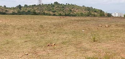 சேலம்: கூட்டுறவு கடன் சங்கங்களில் விவசாயிகளுக்கு வட்டியில்லா பயிர் கடன் வழங்க அலைகழிப்பு