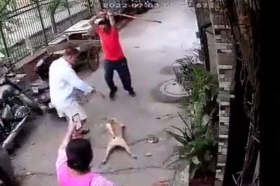 நாய் குரைத்ததால் ஆத்திரம்: வளர்த்தவரையும் சேர்த்து தாக்கிய கொடூரம் (விடியோ)