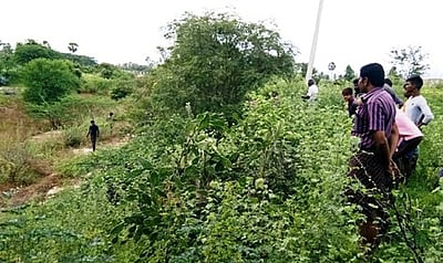 உதகையில் வனவிலங்கு தாக்கியதில் 4 வயது குழந்தை பலி