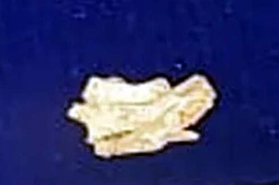 சிவகளை அகழாய்வுப் பணியில் தங்கம் கண்டெடுப்பு!