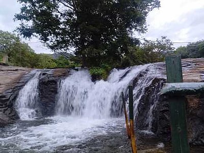 கும்பக்கரை அருவியில் குளிக்க சுற்றுலாப் பயணிகளுக்கு அனுமதி