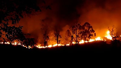 பிரான்ஸ்: பற்றி எரியும் காட்டுத் தீ, உதவிக்கரம் நீட்டும் ஐரோப்பிய நாடுகள்