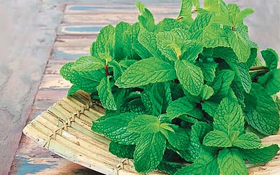 வீட்டுக் குறிப்புகள்