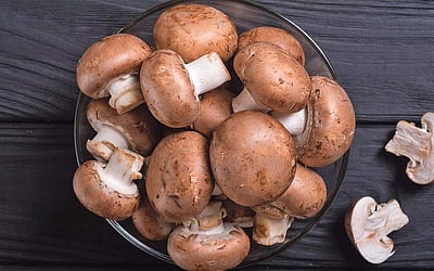 சமையல் குறிப்புகள்