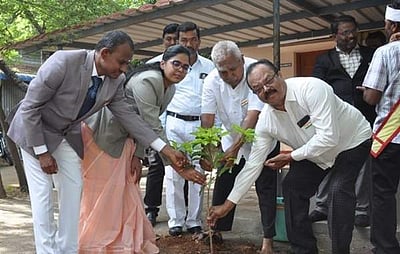 அவிநாசி நீதிமன்ற வளாகத்தில் மரக்கன்று நடும் விழா