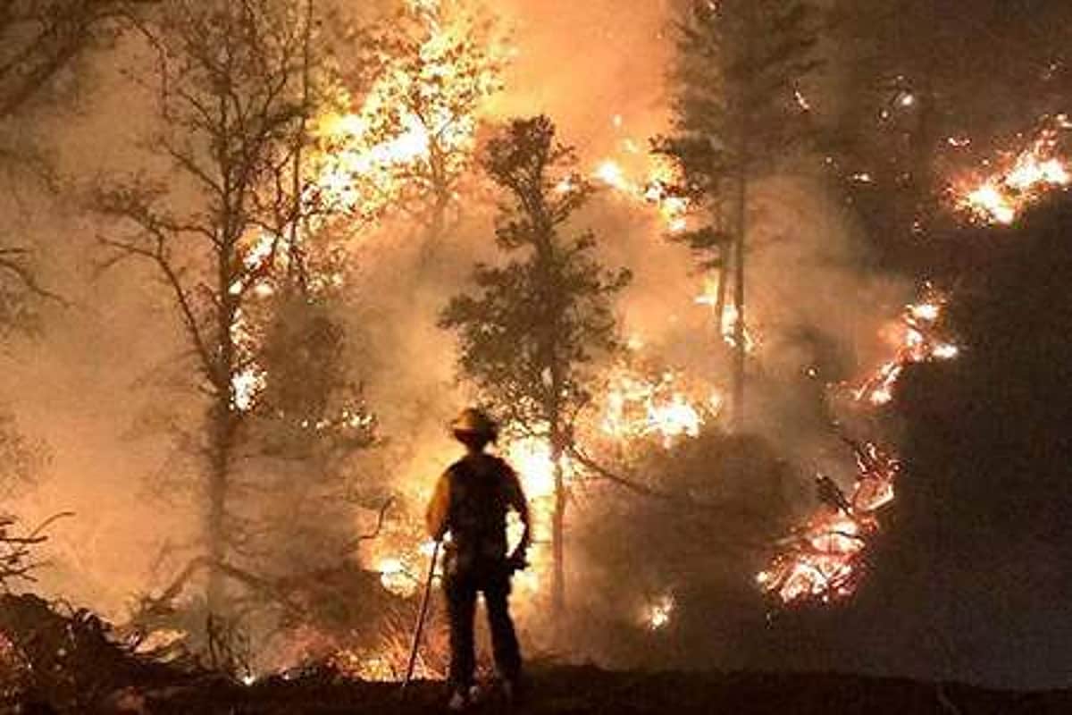 வடக்கு அல்ஜீரியாவில் காட்டுத் தீ: 26 பேர் பலி