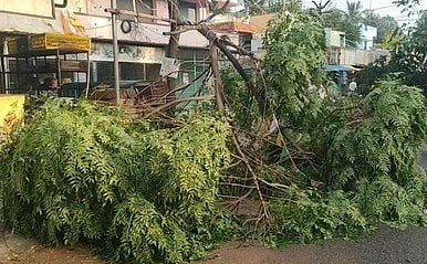 திருவள்ளூரில் சூறைக்காற்றுடன் பலத்த மழை