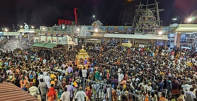 பழனி திருமஞ்சன கட்டணத்தில் யாருக்கு உரிமை? மதுரைக் கிளை தீர்ப்பு