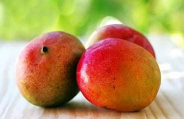 இலங்கை: 3 மாம்பழத்தை ரூ.10 லட்சத்துக்கு வாங்கிய தமிழர்