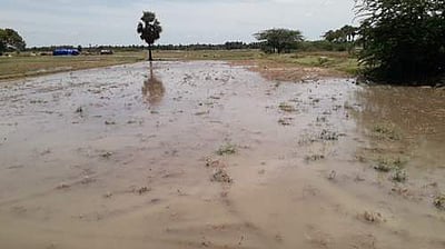 வேதாரண்யம் பகுதியில் இடியுடன் கூடிய மழை