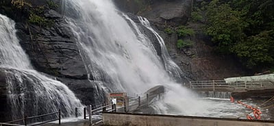 வெள்ளப்பெருக்கு: குற்றாலம் அருவிகளில் குளிக்கத் தடை!