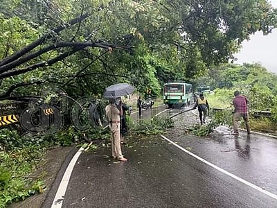 தொடர் மழை... குமுளி மலைப்பாதையில் மரம் முறிந்து போக்குவரத்து பாதிப்பு