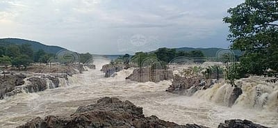 ஒகேனக்கல் காவிரியில் பரிசல் இயக்க தடை