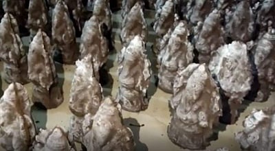 மதுரை அரசரடியில் விதைப்பந்து விநாயகர் தயாரிக்கும் பணியில் சிறைக் கைதிகள்!