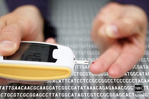 சுகம் தரும் சித்த மருத்துவம்: இரத்தத்தில் சர்க்கரை அளவை குறைக்குமா கீழாநெல்லி…?