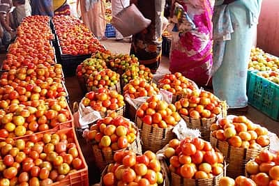 தில்லியில் என்.சி.சி.எஃப் மூலம் கிலோ தக்காளி ரூ.65-க்கு  விற்பனை