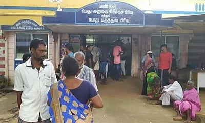 பட்டுக்கோட்டை அருகே விஷ வண்டு தாக்கி 9 பெண்கள் படுகாயம்