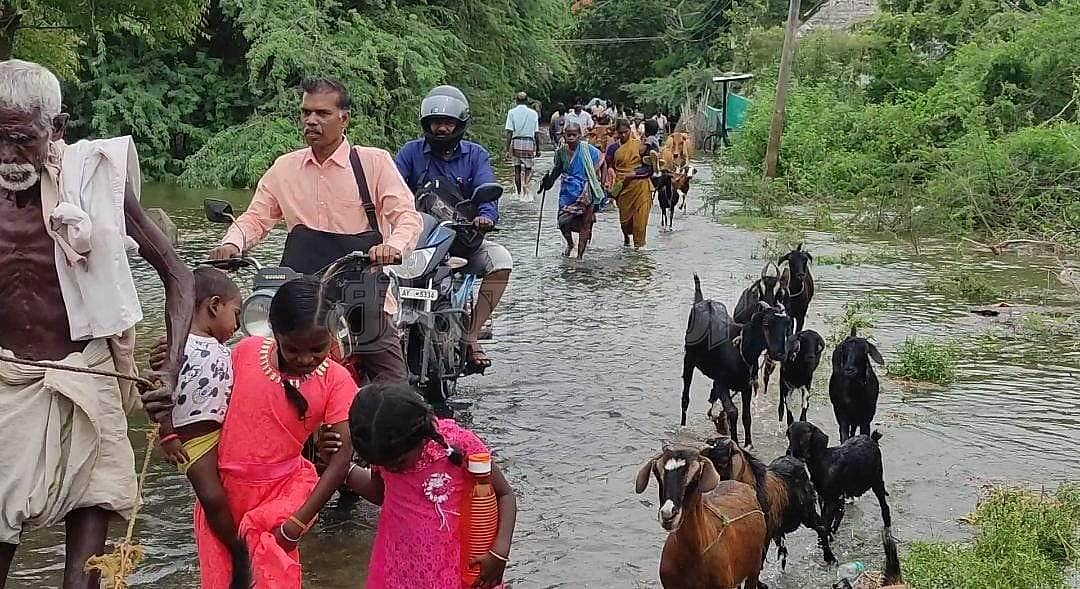 News image