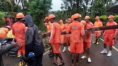 கூடலூரில் தொடரும் கனமழை: மரங்கள் சாய்ந்து மின்சாரம் துண்டிப்பு; இயல்பு வாழ்க்கை பாதிப்பு